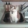 Gina Long Photo 34