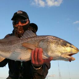 Jonathan Card Photo 7