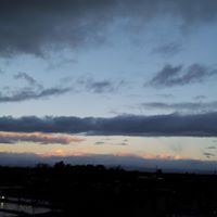 Jill Vincent Photo 22