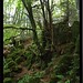 Dean Moss Photo 8