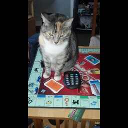 Janet Wiley Photo 17