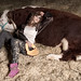 Javier Acosta Photo 8