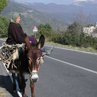 Susan Mcloud Photo 3