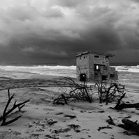 Julia Horne Photo 21