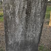 Charles Conn Photo 31
