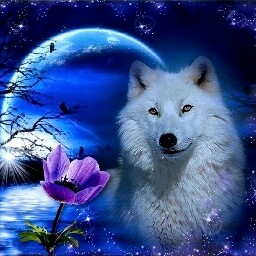 Russell Maxwell Photo 29