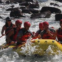 Marshall Horton Photo 8