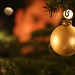 Marc Ball Photo 33