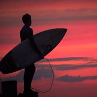 Matt Higgins Photo 40