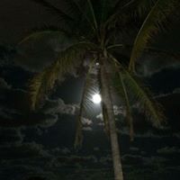 Teresa Rogers Photo 26