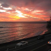 Cheryl Castellano Photo 16