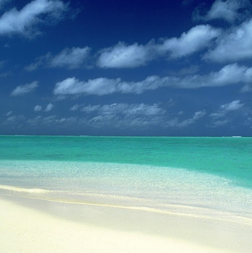 Carrie Norton Photo 33