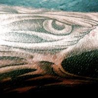 Phillip Connor Photo 20