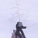 James Leavy Photo 27