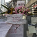 Linda Sheppard Photo 30