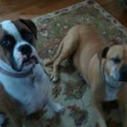 Jane Whitaker Photo 19