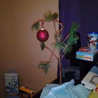 Lisa Hackney Photo 16