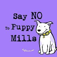 Rebecca Mcelroy Photo 33