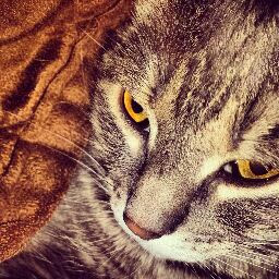 Michelle Tompkins Photo 31