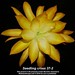 Don Burnett Photo 1