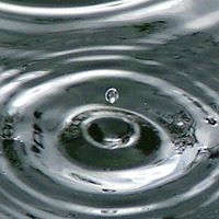 Gabriel Bergman Photo 1