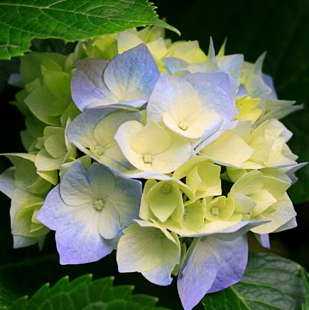 Shannon Hennessy Photo 34