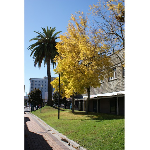 Janet Bacon Photo 10