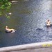 Melissa Mcclintock Photo 29