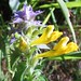 Hannah Kerns Photo 12