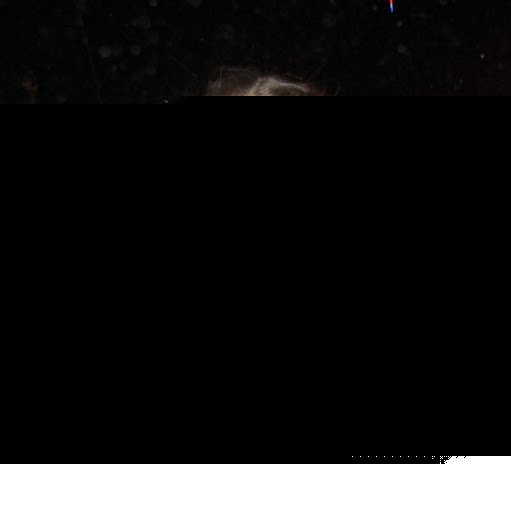 Summer Robbins Photo 7