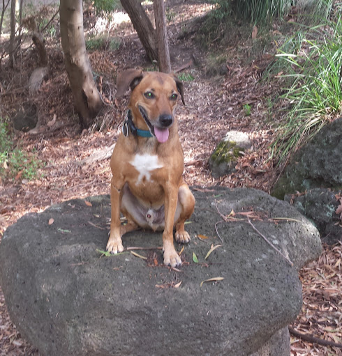 Pamela Mcbride Photo 22