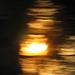 Lucille Havens Photo 2