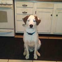 Scott Cutter Photo 19