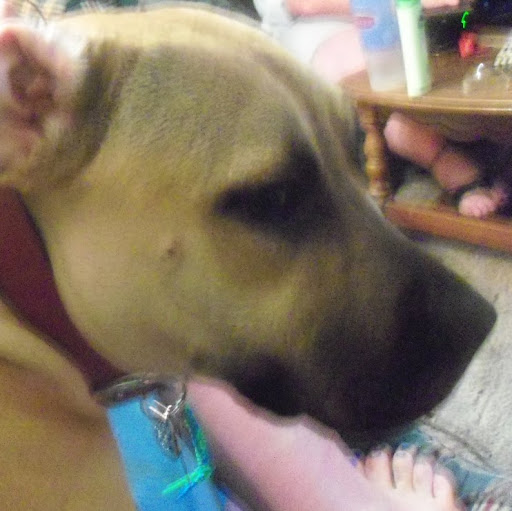 Cherie Cochran Photo 11