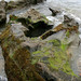Amy Samuelson Photo 30