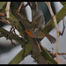 Robin Smallwood Photo 21