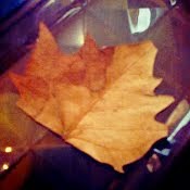 Kathy Melendez Photo 6