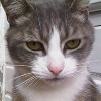 George Dutton Photo 8