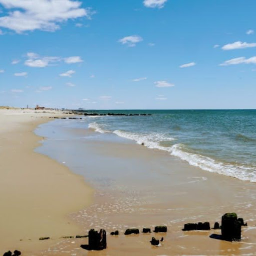 Richard Sheppard Photo 40