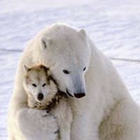 Thomas Rollins Photo 32