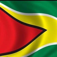 Lynette Amos Photo 2