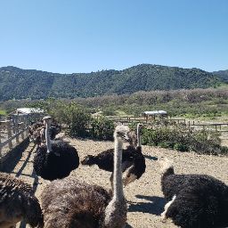 Brenda Garcia Photo 32