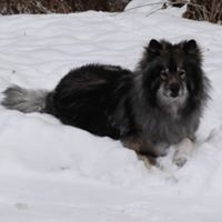 Cheryl Delaney Photo 35