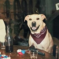 Aaron Raymond Photo 6