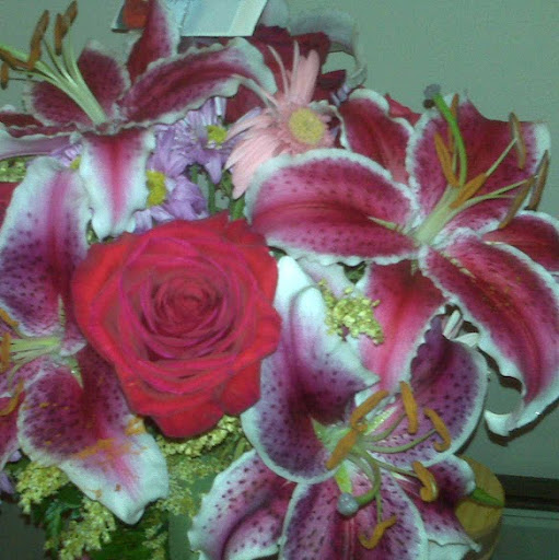 Rhonda Schultz Photo 19