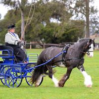 Mandy Lawrence Photo 42 Mandy Lawrence Photo 42