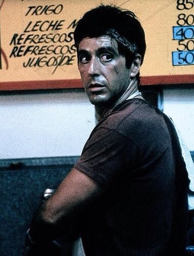 Mark Shields Photo 40