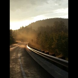 Travis Caffee Photo 8