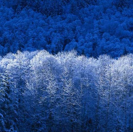 Janice Goodwin Photo 4