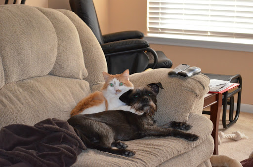 Donald Woods Photo 41 Donald Woods Photo 41